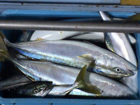 第二八坂丸 釣果