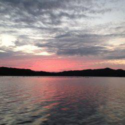 じゅん栄丸 釣果