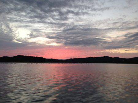 じゅん栄丸 釣果