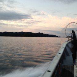 じゅん栄丸 釣果