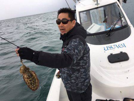 うさぎ丸 釣果