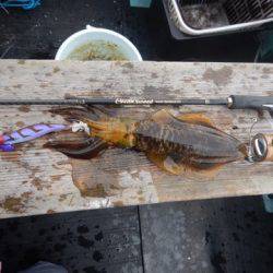 渡船屋たにぐち 釣果