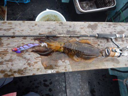 渡船屋たにぐち 釣果