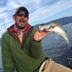 アマテラス 釣果