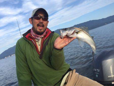 アマテラス 釣果