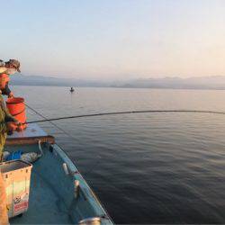 アマテラス 釣果