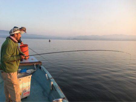 アマテラス 釣果