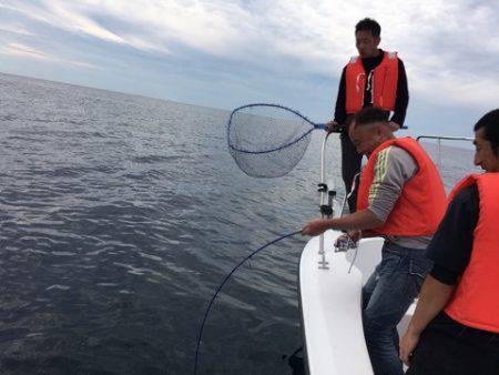うさぎ丸 釣果