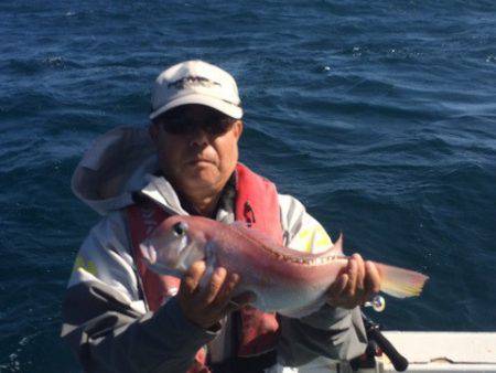 丸万釣船 釣果
