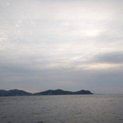 渡船屋たにぐち 釣果