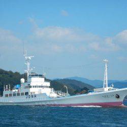 渡船屋たにぐち 釣果