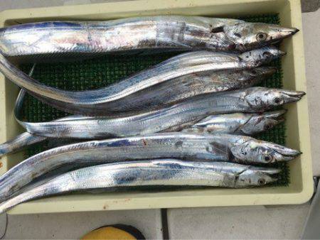 Ｖ−７ West 釣果