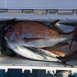 第二八坂丸 釣果