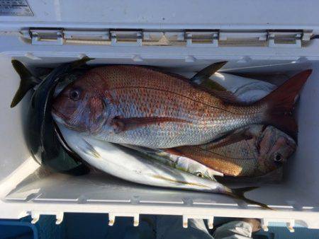 第二八坂丸 釣果