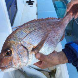 第二八坂丸 釣果