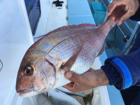 第二八坂丸 釣果