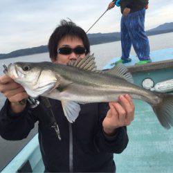 アマテラス 釣果