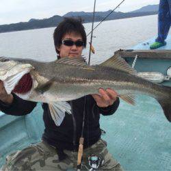 アマテラス 釣果