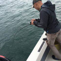 Ｖ−７ West 釣果