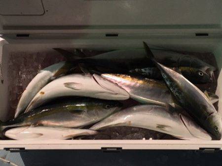 第二八坂丸 釣果