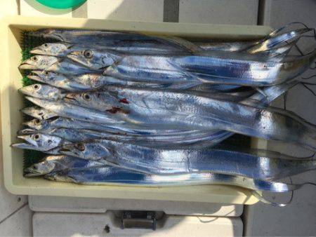 Ｖ−７ West 釣果