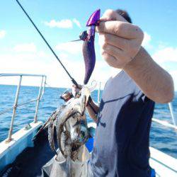 渡船屋たにぐち 釣果
