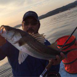 アマテラス 釣果