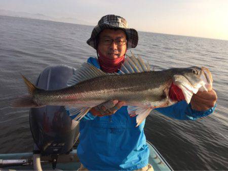 アマテラス 釣果