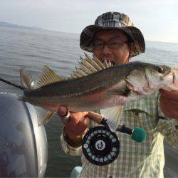 アマテラス 釣果