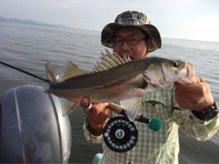 アマテラス 釣果