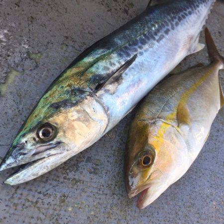 第二 海洋丸 釣果