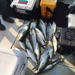 エムズジャーク(M’s JERK) 釣果