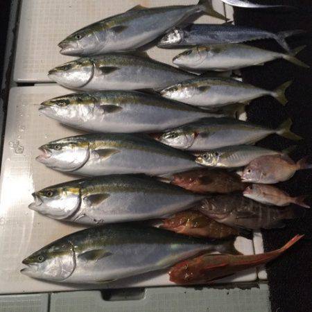 エムズジャーク（M's JERK…