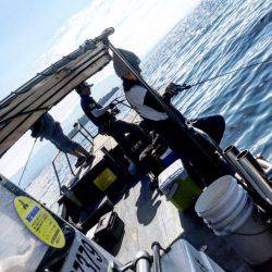 第二 海洋丸 釣果