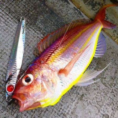 第二 海洋丸 釣果