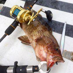 第二 海洋丸 釣果