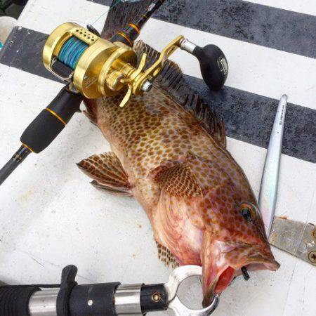 第二 海洋丸 釣果