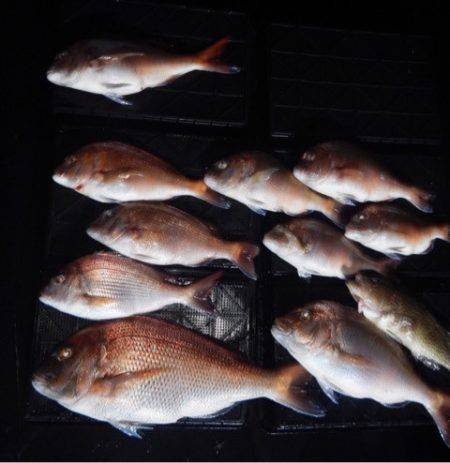 渡船屋たにぐち 釣果