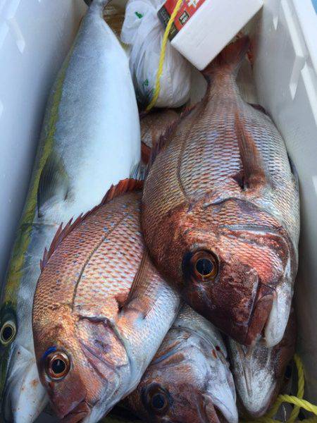 第二八坂丸 釣果