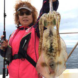 エヌスタイル 釣果