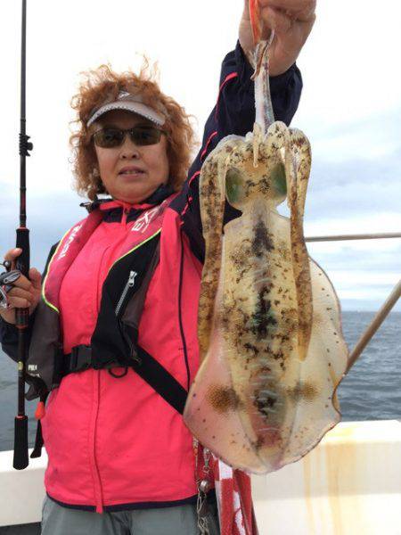 エヌスタイル 釣果