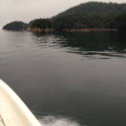 じゅん栄丸 釣果