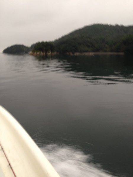 じゅん栄丸 釣果