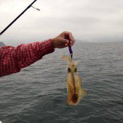 じゅん栄丸 釣果