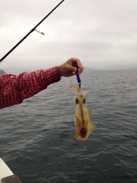 じゅん栄丸 釣果