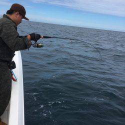 うさぎ丸 釣果
