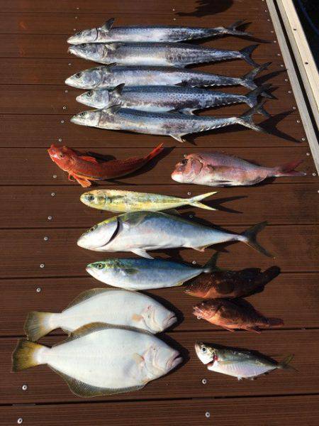 うさぎ丸 釣果