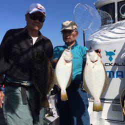 シーランチ 釣果