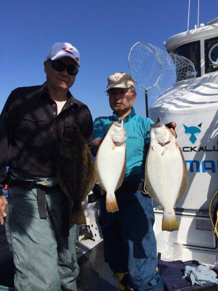 シーランチ 釣果