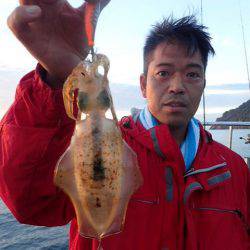 まるいち丸 ZERO-1 釣果